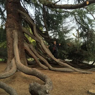 The Huntington Library, San Marino, CA